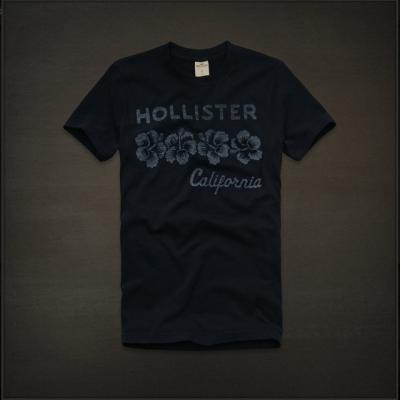 Hollister Men Shirts-413